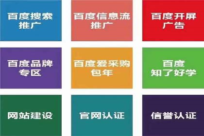 百度广告推广实战案例解析